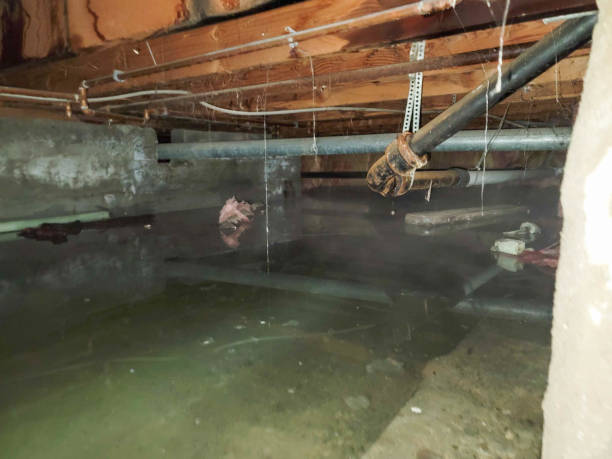 Best Flooded house restoration  in Hopatcong, NJ