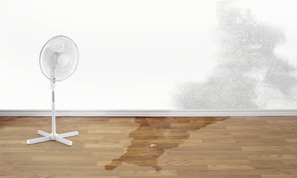 Best 24/7 water damage repair  in Hopatcong, NJ