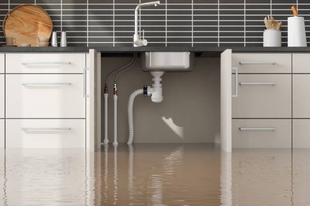 Best Basement water damage restoration  in Hopatcong, NJ